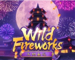 wild fireworks
